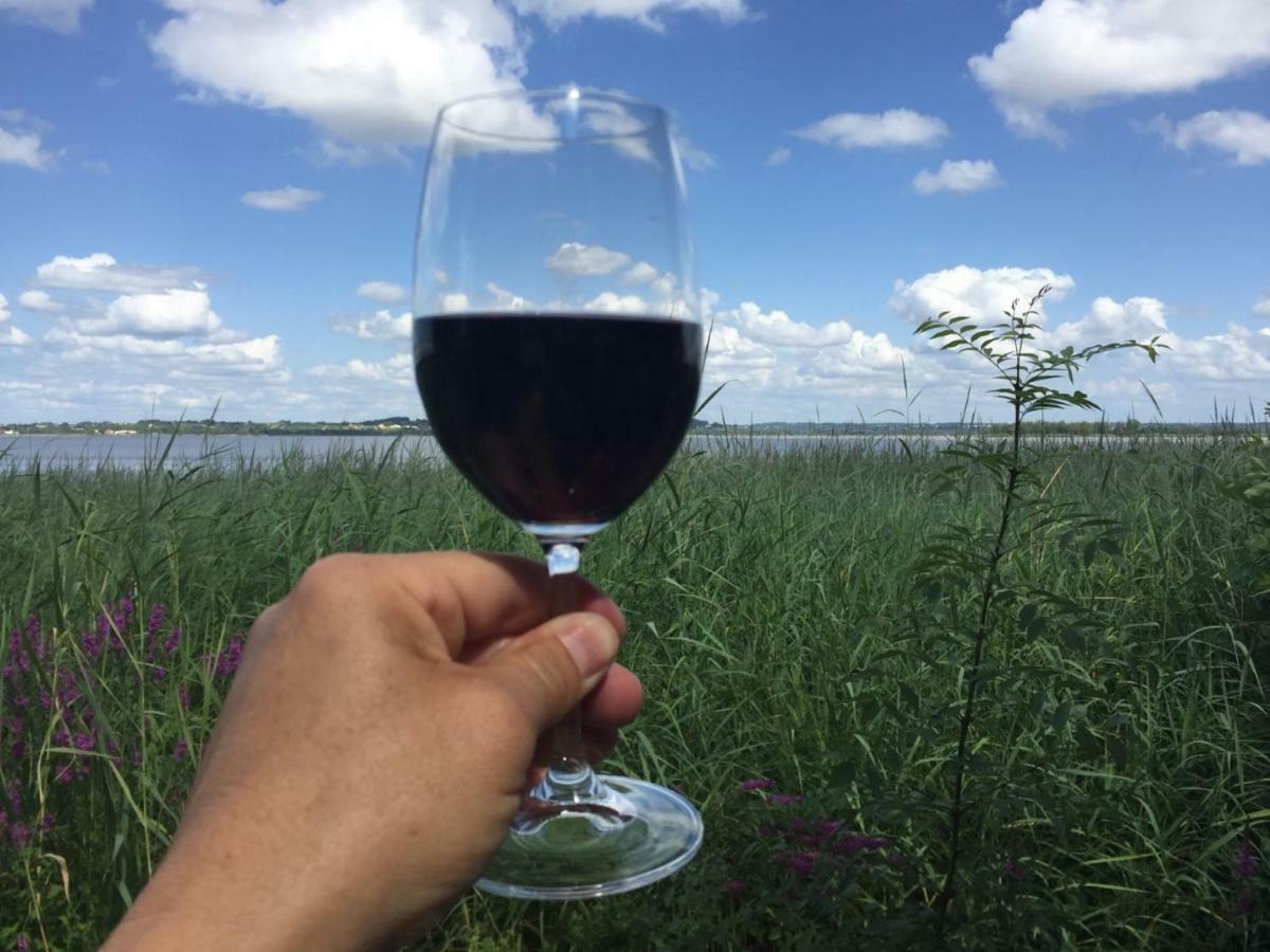 مبيت وإفطار Moulis-en-Médoc Domaine De Giron المظهر الخارجي الصورة